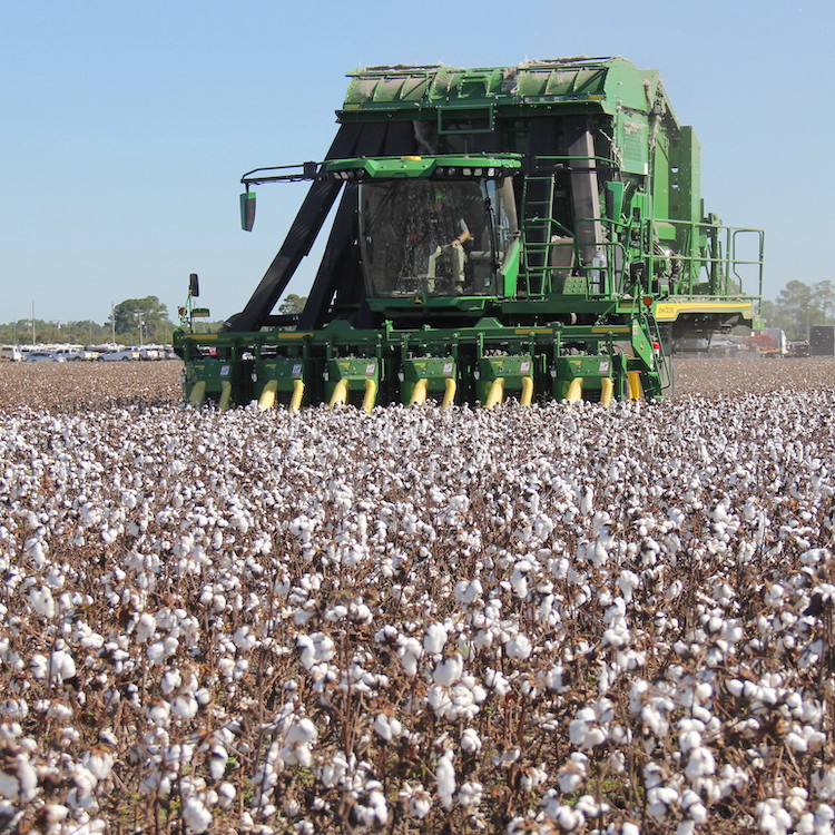 Sunbelt Ag Expo back in business